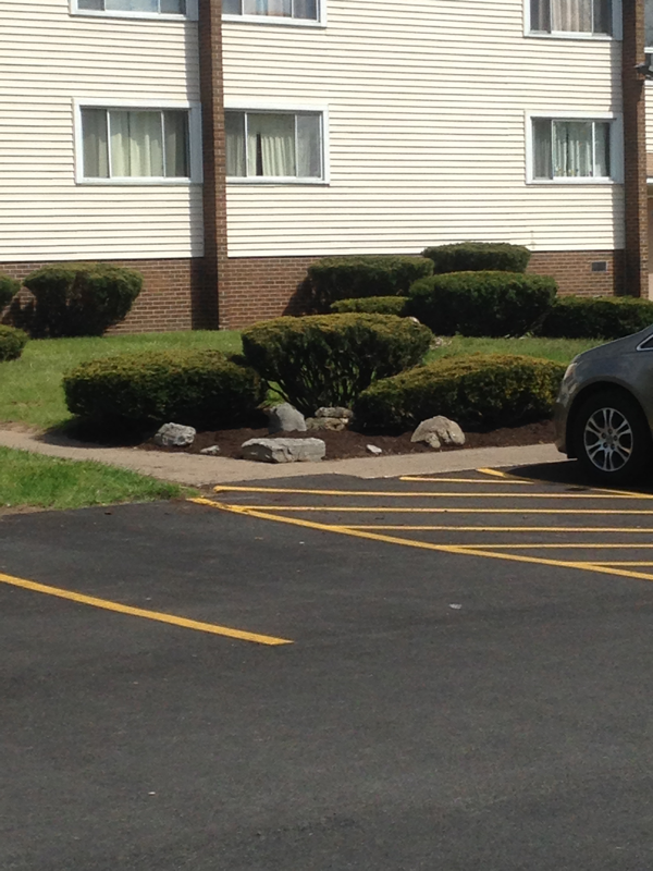 4314 Wetzel Rd - Photo 7 of 8