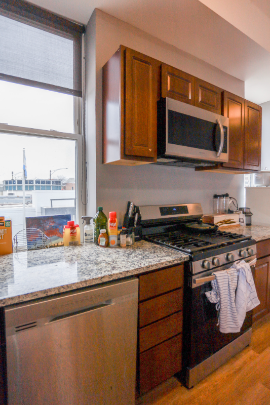 1586 N Clybourn Ave #3 - Photo 5 of 22