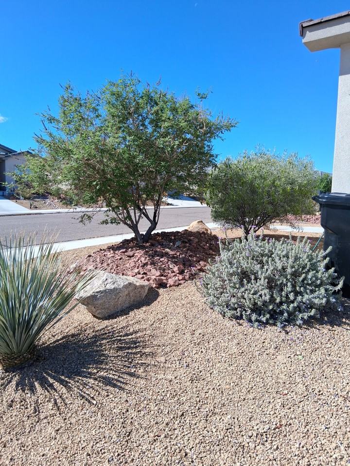 571 E Colt Ln - Photo 4 of 4