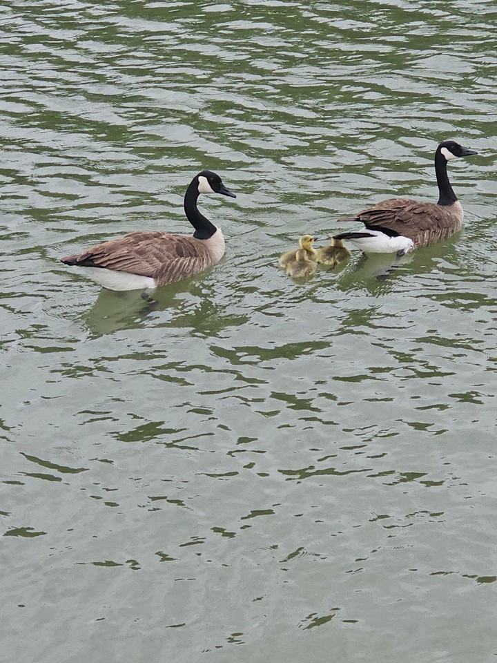 10931 W Roanoke Ave ##Ave - Photo 6 of 7