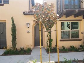 146 Briar Rose - Photo 1 of 1