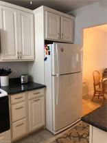 150 Turtle Lake Ct #310 - Photo 1 of 1