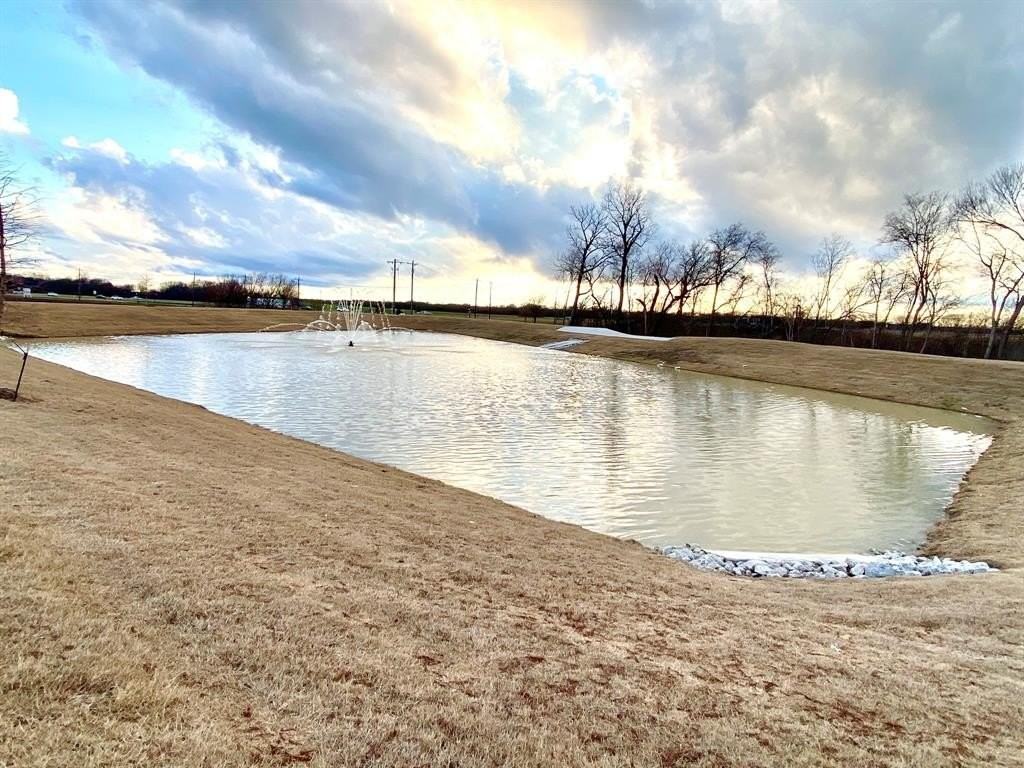 615 Metallic Tree Ln - Photo 3 of 24