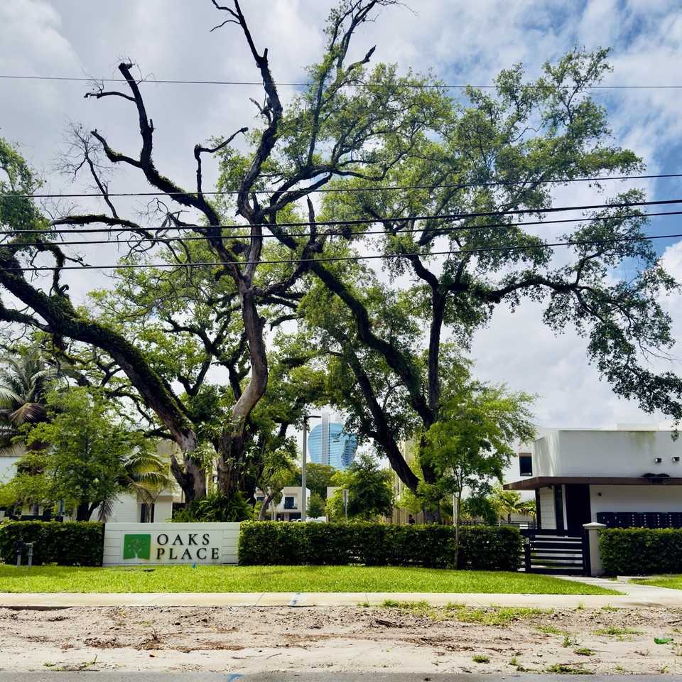 4189 N Oak Pl - Photo 3 of 19