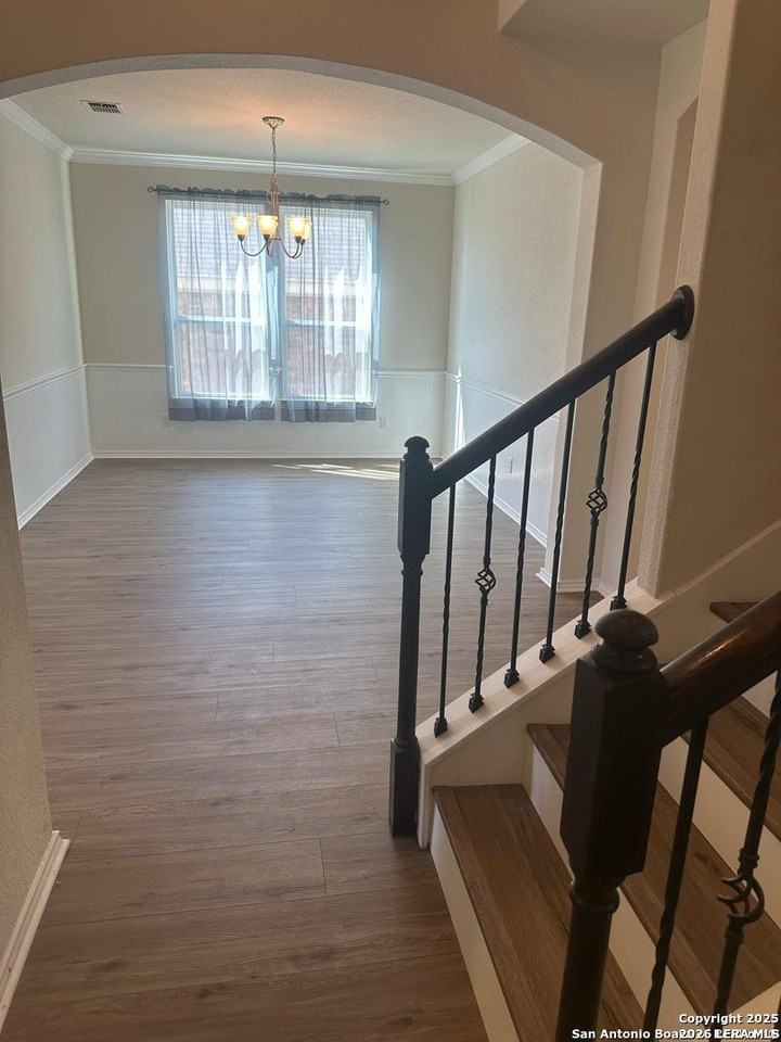 10811 Yaupon Holly - Photo 5 of 23