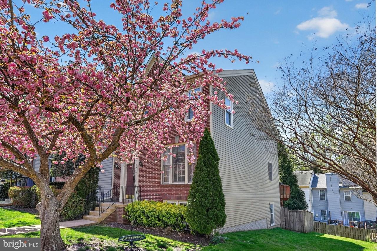 8010 Readington Ct - Photo 3 of 50