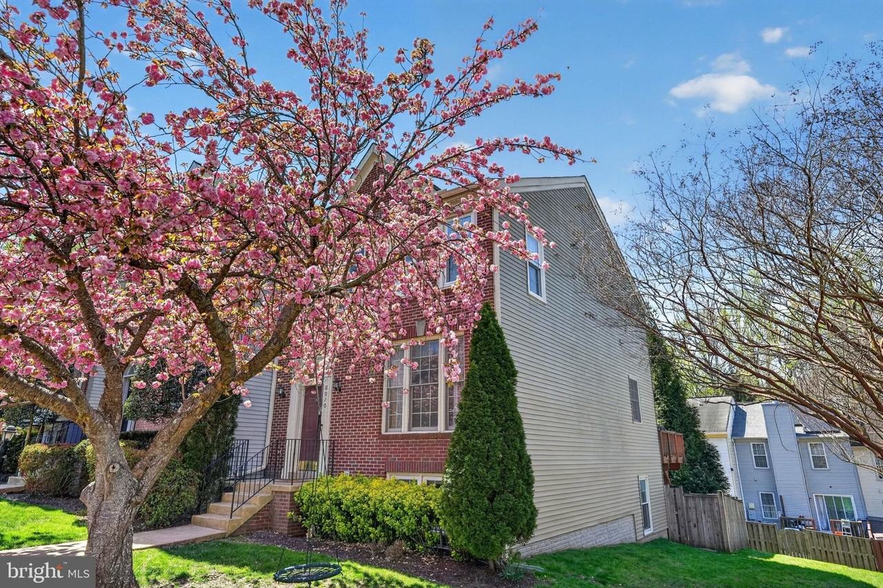 8010 Readington Ct - Photo 4 of 50