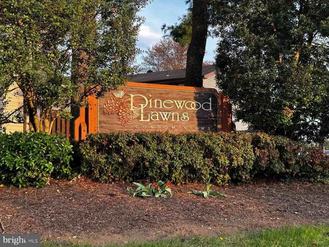 8402 Jinetes Ct - Photo 2 of 26