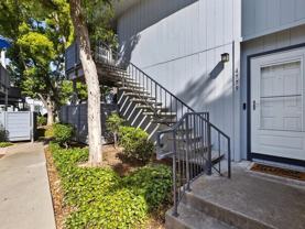 4779 Pine Forest Ln - Photo 1 of 1