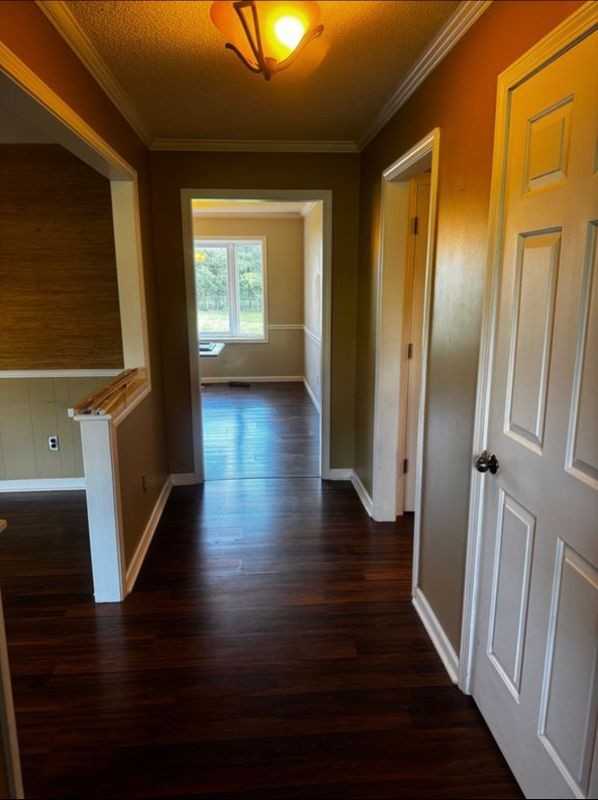 806 Lois Ln - Photo 4 of 22