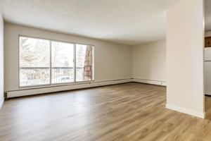 featured image of 4810 60 St