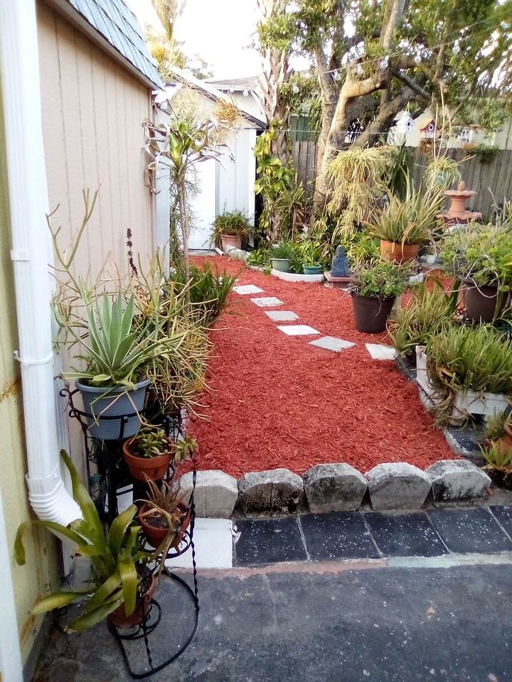 1320 E Louise Ave #B - Photo 2 of 4