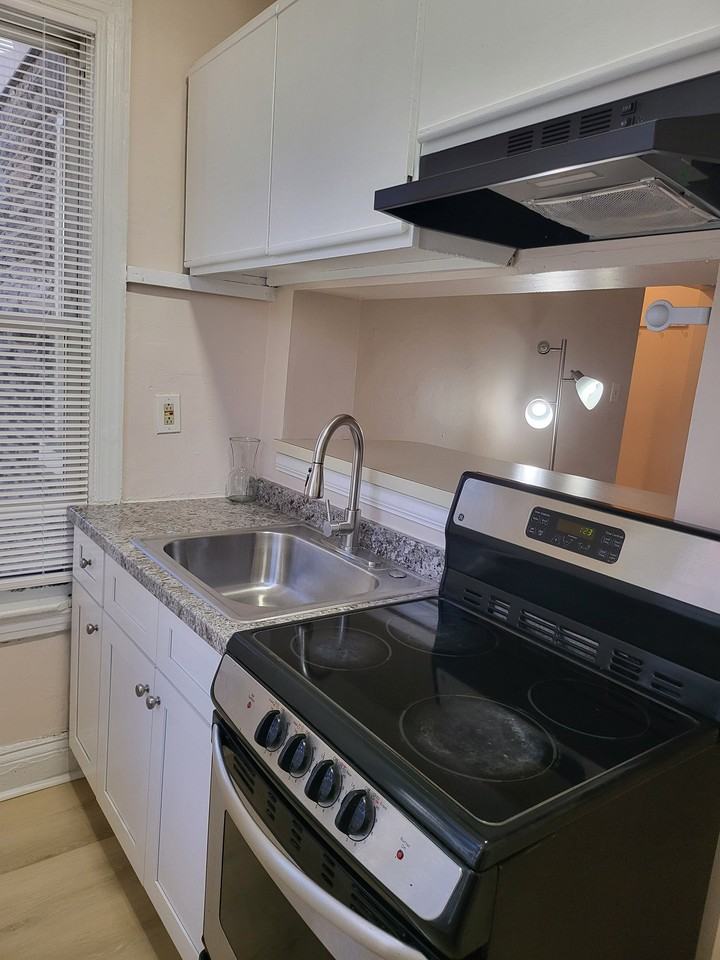 119 E Mount Airy Ave #4 - Photo 6 of 12