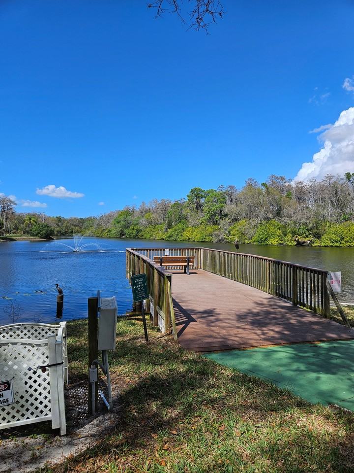 129 Camphor Cir #F - Photo 4 of 20