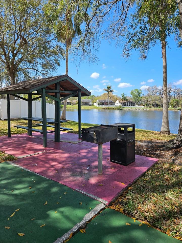 129 Camphor Cir #F - Photo 5 of 20