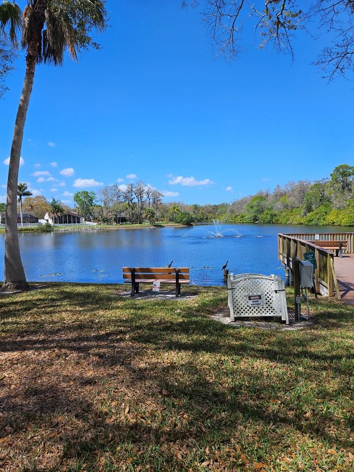 129 Camphor Cir #F - Photo 6 of 20