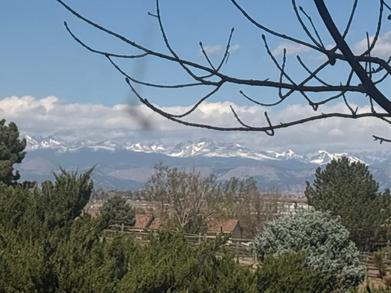 15030 Harrison St - Photo 6 of 8