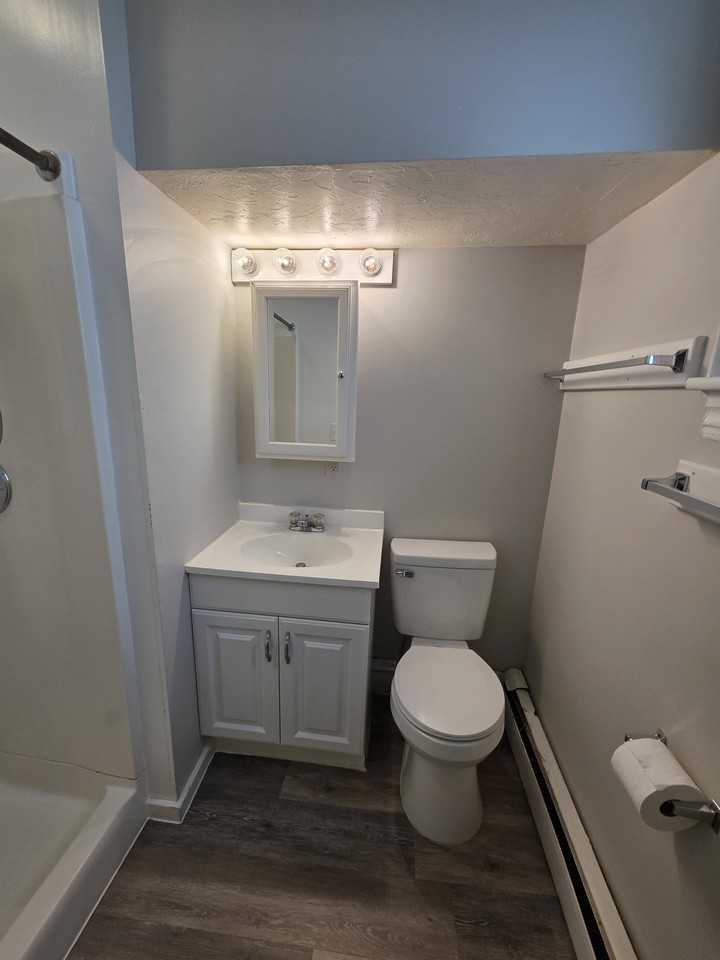 225 Pleasant Street #1 - Photo 6 of 12