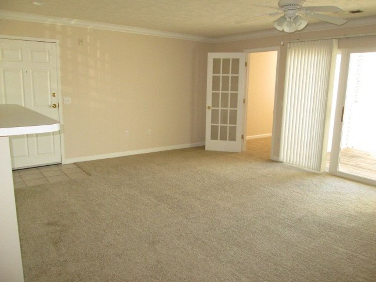 Hillsborough Pointe Apartments - Photo 5 of 26