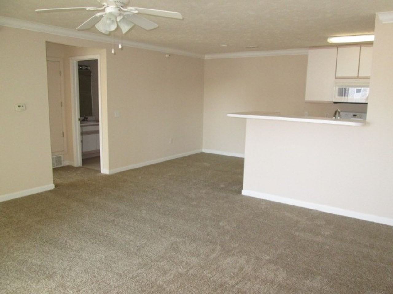 Hillsborough Pointe Apartments - Photo 7 of 26