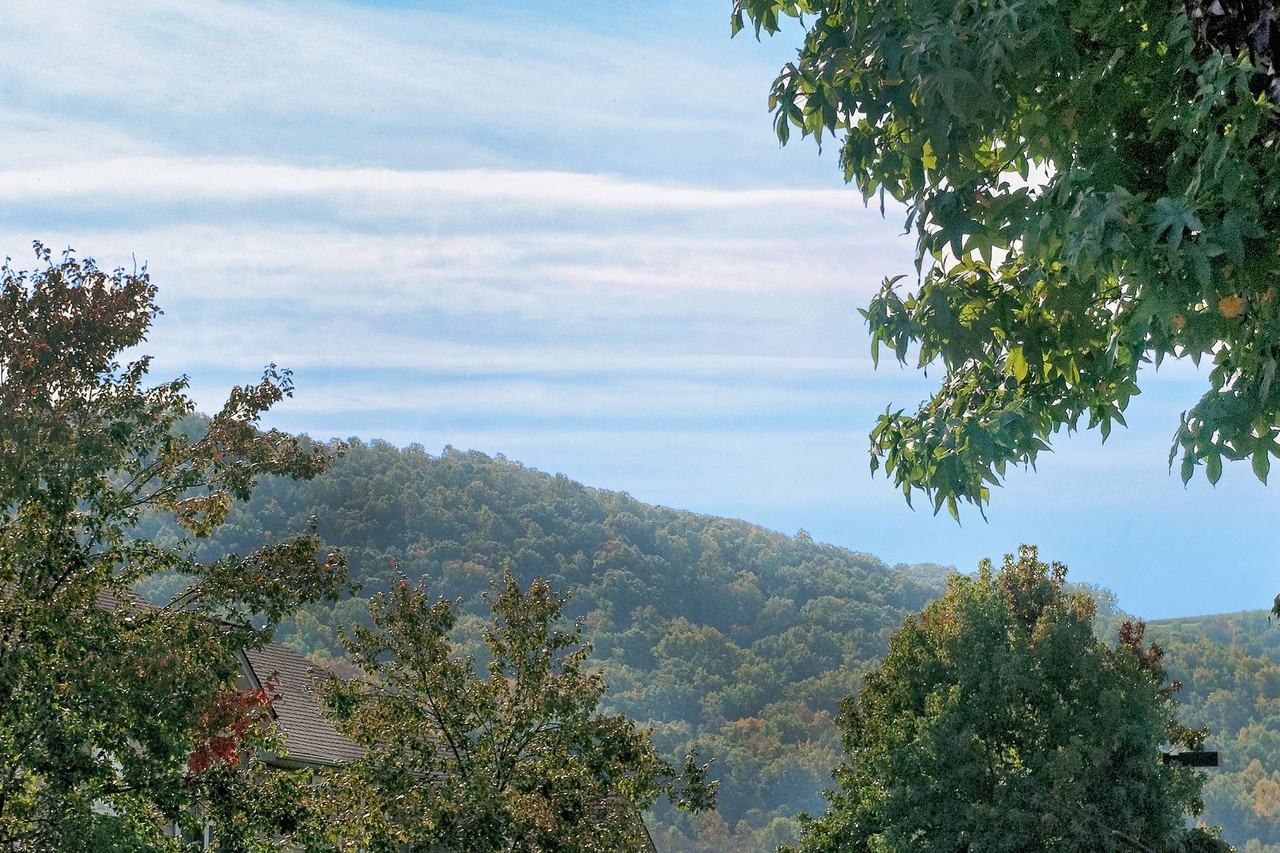 119 Waterbury Ct - Photo 4 of 18