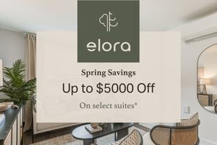 Elora - Photo 1 of 1