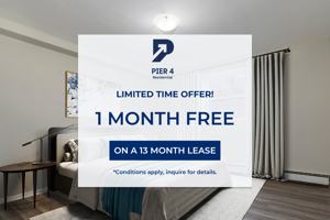 featured image of 364 Grey St