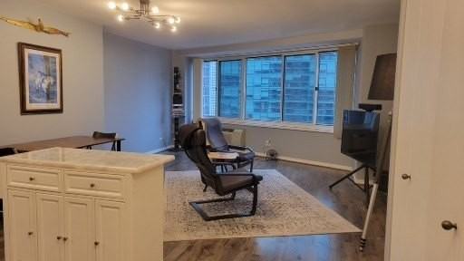 211 E Ohio St #2215 - Photo 5 of 13