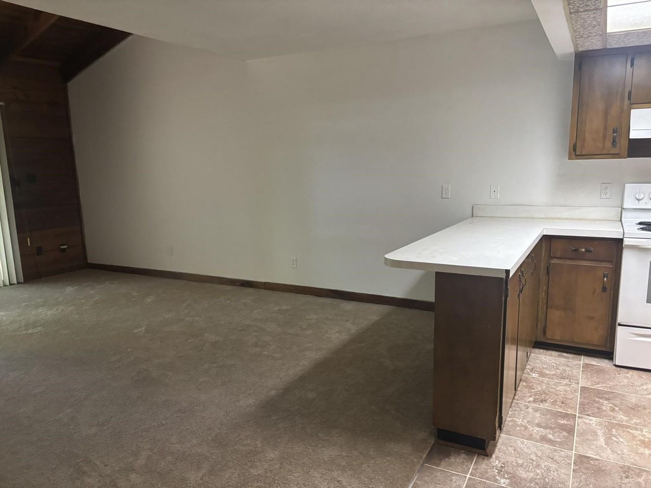 307 Vantage Point Ln #32 - Photo 3 of 19