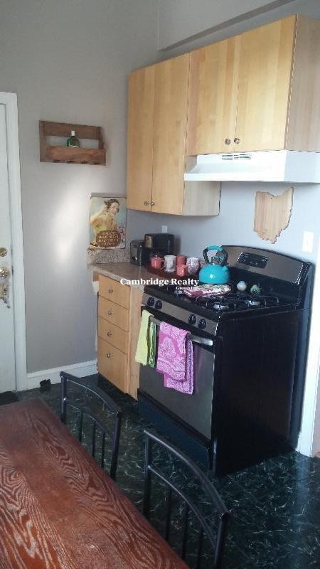 358 Broadway #5T - Photo 4 of 13