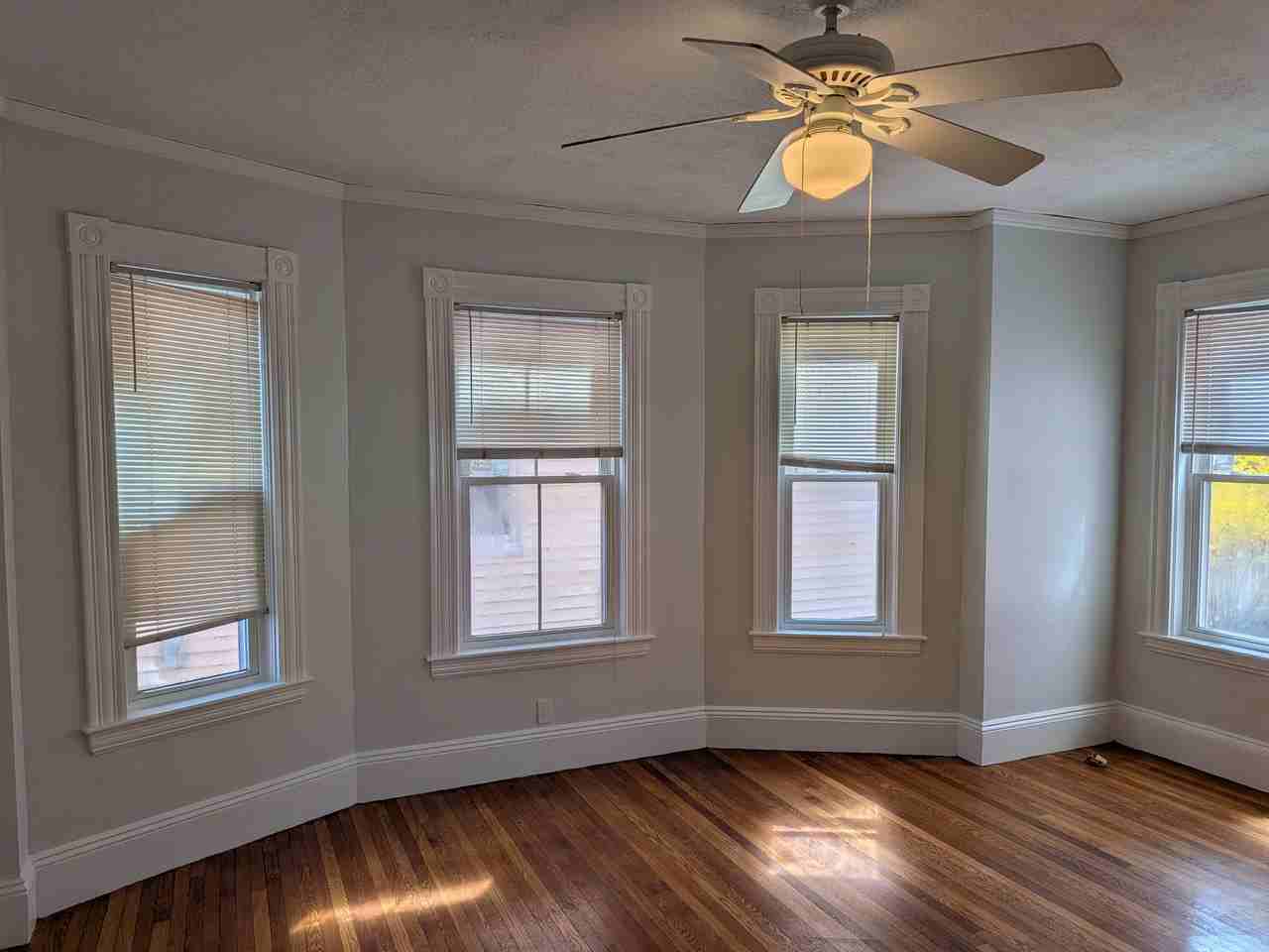 Albion St #1 - Photo 5 of 16