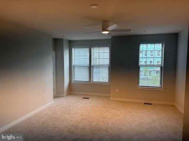 1110A Dabney Dr - Photo 4 of 13