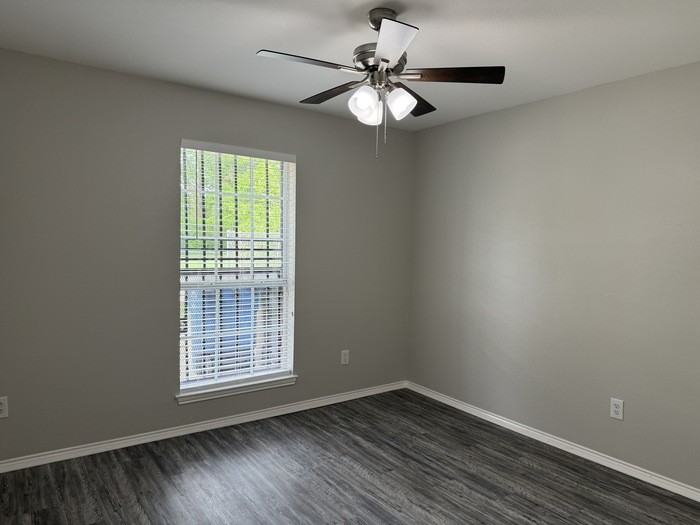 3332 Navaro St - Photo 3 of 22