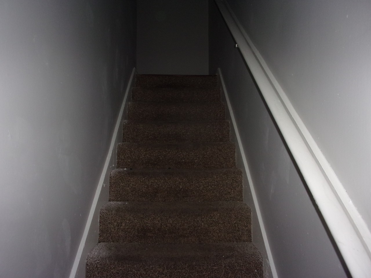 5546 Apple Blossom Dr - Photo 7 of 14