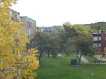 Arbour View Apartments - Photo 1 of 1