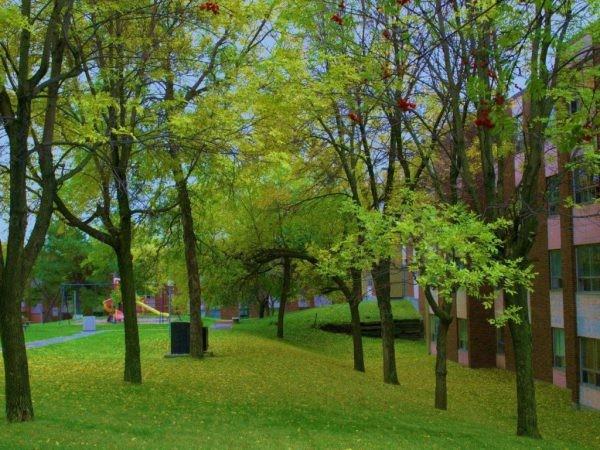 Arbour View Apartments - Photo 6 of 20