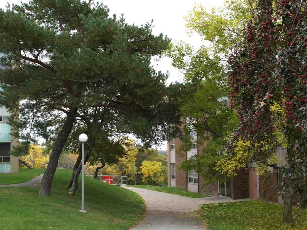 Arbour View Apartments - Photo 3 of 15