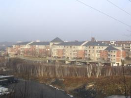 featured image of false