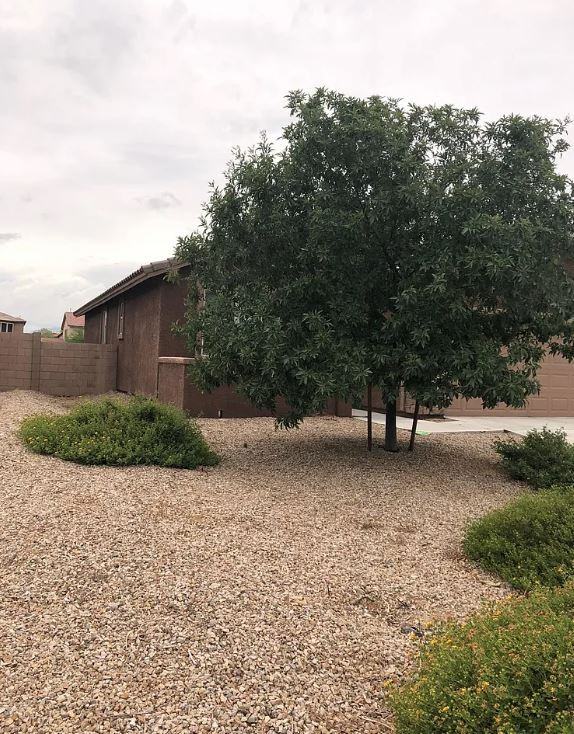 10450 S Cutting Horse Dr #1 - Photo 3 of 19