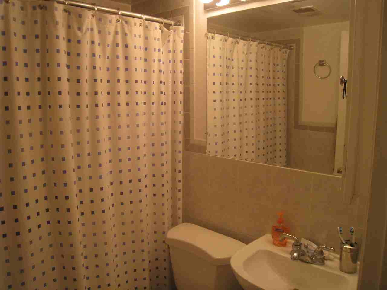 3036 N Southport Ave #G - Photo 5 of 6