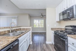 22482 Alma Aldea - Photo 1 of 1