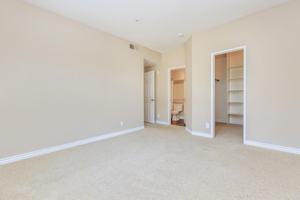 featured image of 22482 Alma Aldea