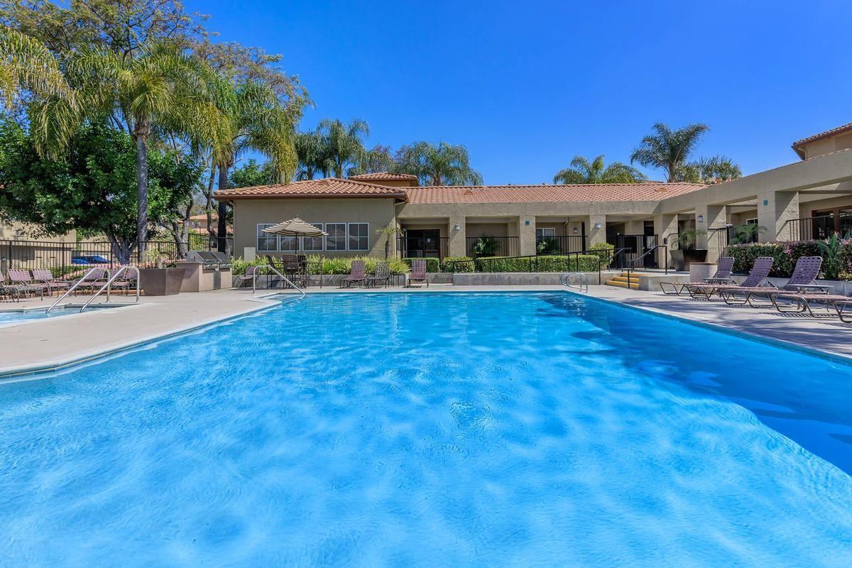 22482 Alma Aldea - Photo 7 of 50