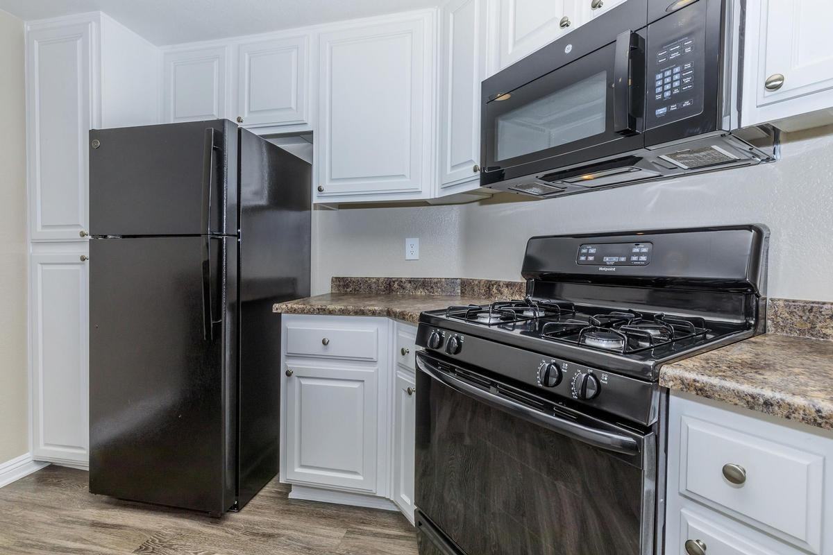 22482 Alma Aldea - Photo 5 of 50
