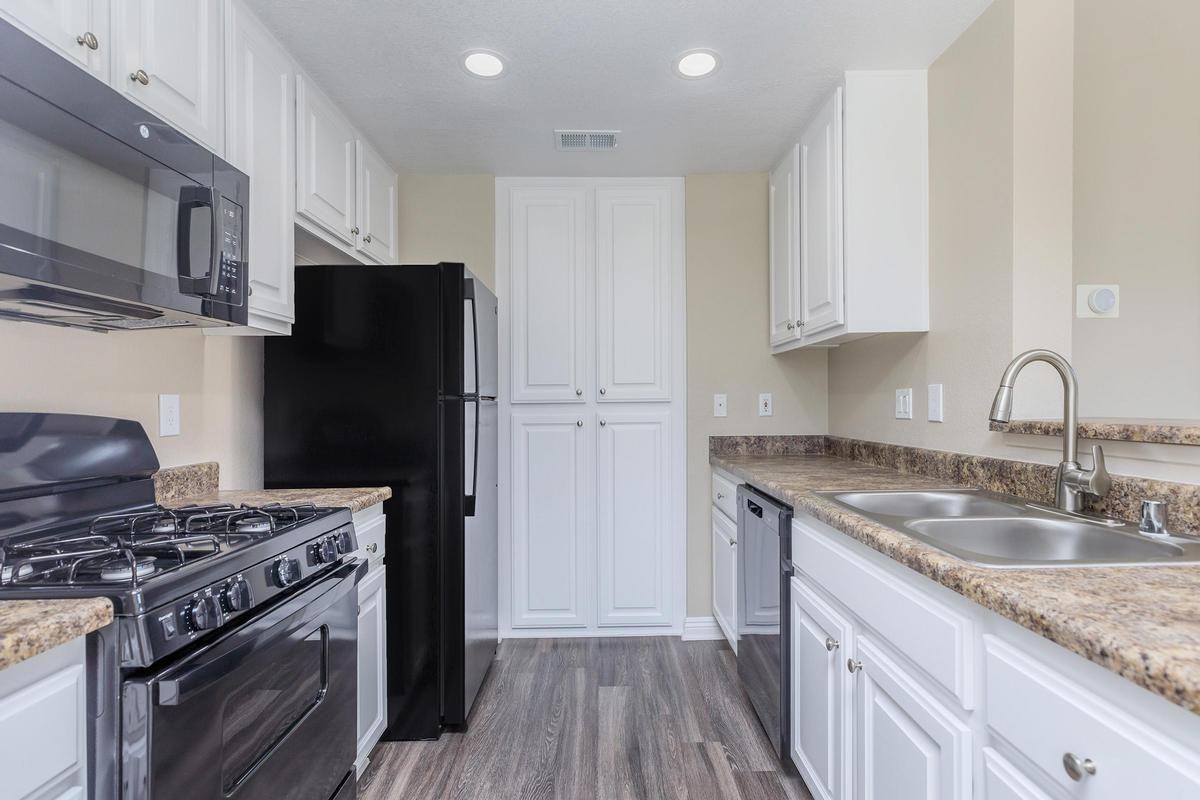 22482 Alma Aldea - Photo 3 of 50