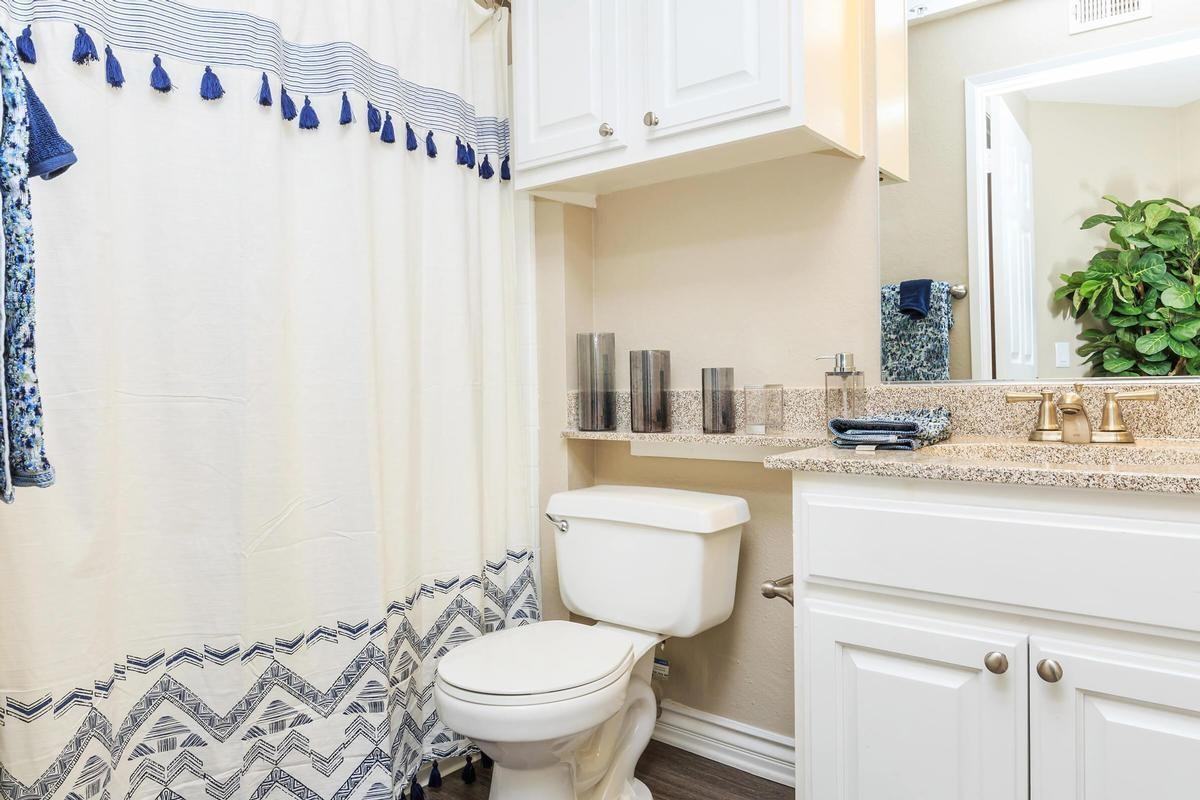 22482 Alma Aldea - Photo 4 of 50