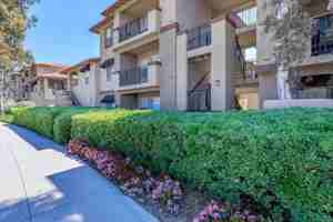 featured image of 22482 Alma Aldea