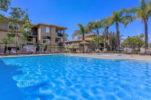 22482 Alma Aldea - Photo 1 of 1