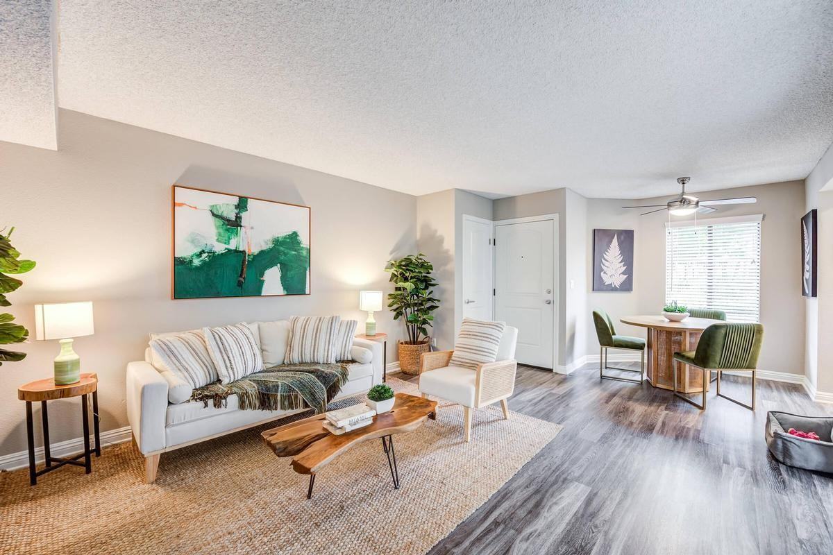 2 Via Amistosa - Photo 5 of 50