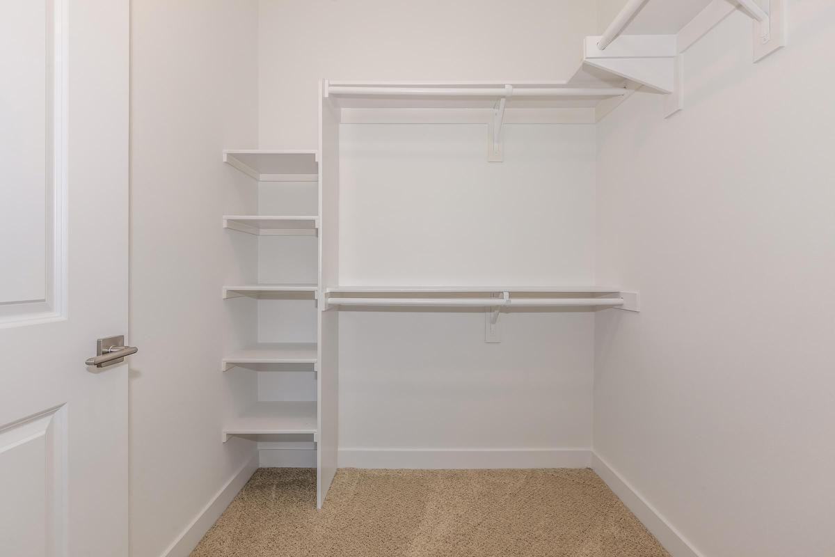 92 Esencia Dr - Photo 4 of 12